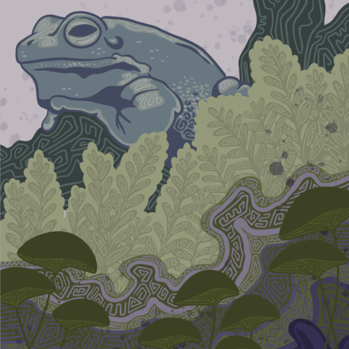 Toad Illustration
